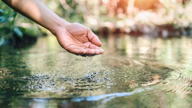 Understanding Tampa Bay's Water Quality: What Homeowners Need to Know